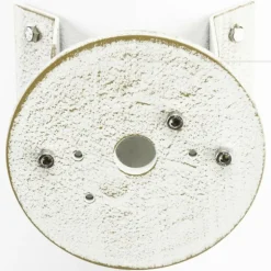 Accessoire Albert 1005 Or, Blanc