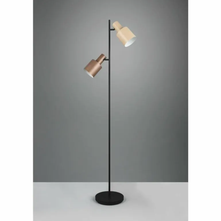 Agudo Lampadaire Luminaires Trio Multicolore, 2 lumières