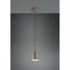 Agudo Suspension Luminaires Trio Brun, 1 lumière
