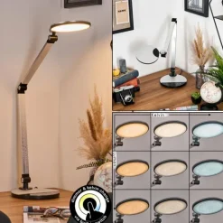 Aldeias Lampe de bureau, Lampe à poser, Liseuse LED Noir, Argenté, 1 lumière