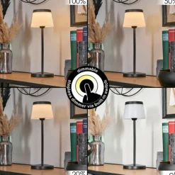 Algeraz Lampe de table d'extérieur, Lampe à poser LED Noir, 1 lumière