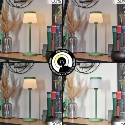 Algeraz Lampe de table d'extérieur, Lampe à poser LED Vert, 1 lumière