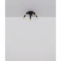 Alisha Ventilateur de plafond lumineux Luminaires Globo Lighting Noir, 5 lumières, Télécommandes