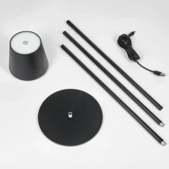 Allen Lampadaire LED Noir, 1 lumière