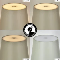 Allen Lampe de table d'extérieur, Lampe à poser LED Gris, Vert, 1 lumière