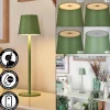 Allen Lampe de table d'extérieur, Lampe à poser LED Vert, 1 lumière