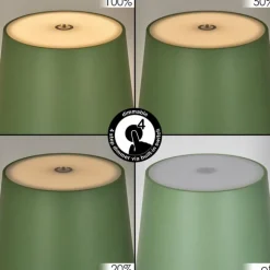 Allen Lampe de table d'extérieur, Lampe à poser LED Vert, 1 lumière