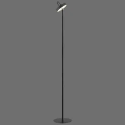 AMAG Lampadaire Luminaires Leuchten Direkt LED Noir, 1 lumière