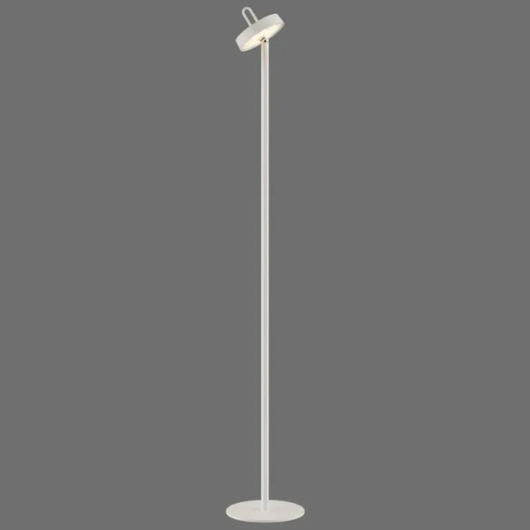 AMAG Lampadaire Luminaires Leuchten Direkt LED Gris, 1 lumière