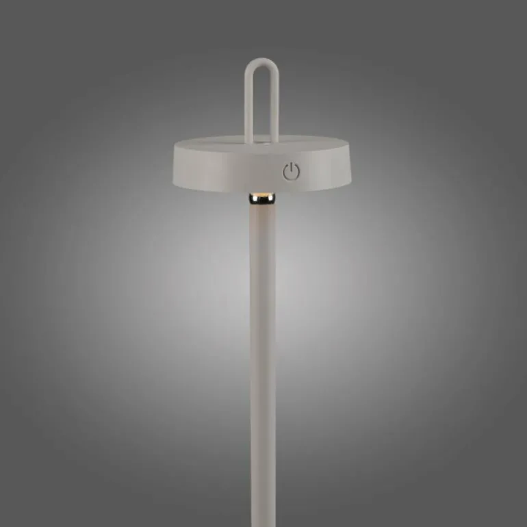 AMAG Lampadaire Luminaires Leuchten Direkt LED Gris, 1 lumière