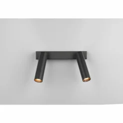 Ambala Spot de plafond Luminaires Trio LED Noir, 2 lumières