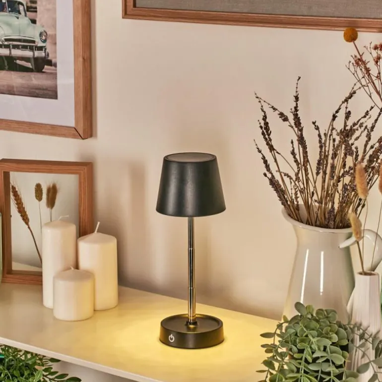 Amien Lampe de table d'extérieur, Lampe à poser LED Noir, Argenté, 1 lumière