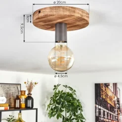 Amnicon Plafonnier Écru, Noir, 1 lumière