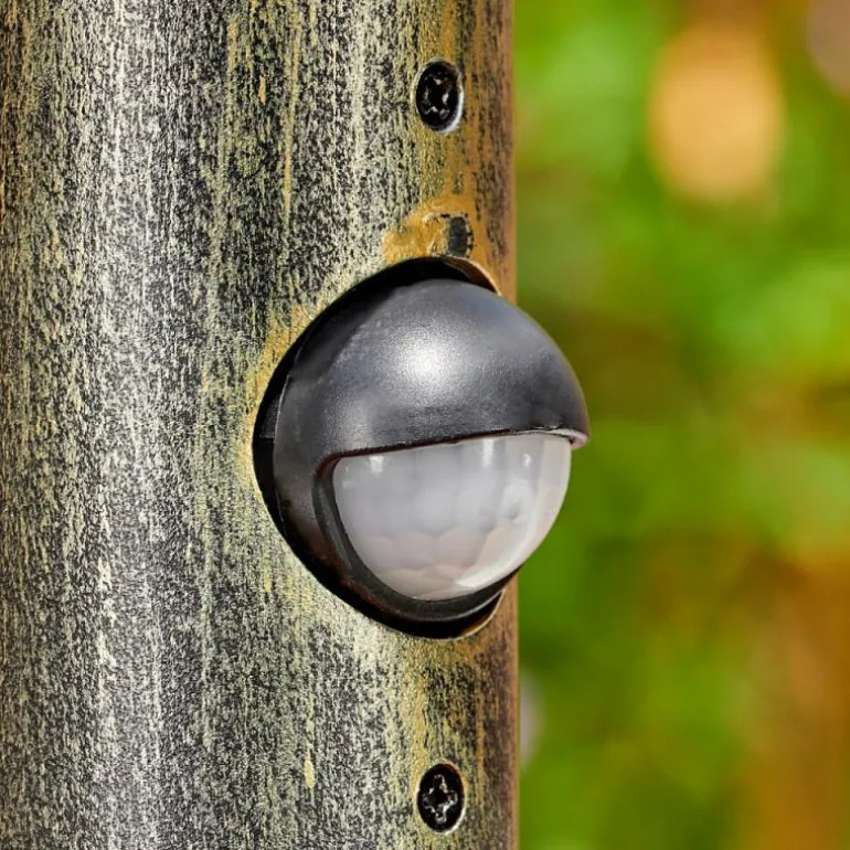 Anfei Luminaire extérieur, Eclairage de chemin Brun, Or, 1 lumière, Détecteur de mouvement