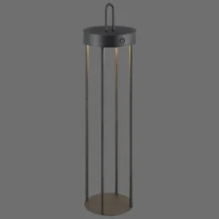 ANSELM Lampadaire Luminaires Leuchten Direkt LED Noir, 1 lumière