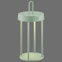 ANSELM Lampe à poser Luminaires Leuchten Direkt LED Vert, 1 lumière