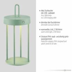 ANSELM Lampe à poser Luminaires Leuchten Direkt LED Vert, 1 lumière