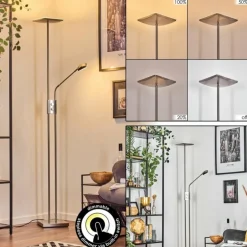 Antra Lampadaire LED Nickel mat, 1 lumière