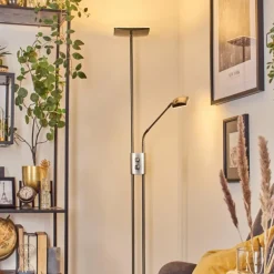 Antra Lampadaire LED Nickel mat, 1 lumière