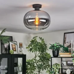 Apedo Plafonnier, Boule lumineuse Clair, Fumé, 1 lumière