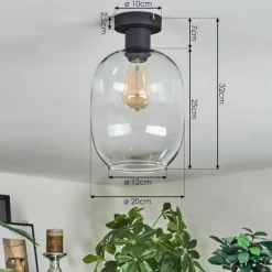 Apedo Plafonnier Clair, 1 lumière