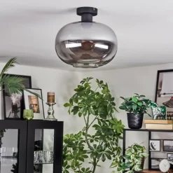 Apedo Plafonnier Fumé, 1 lumière