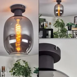 Apedo Plafonnier Fumé, 1 lumière