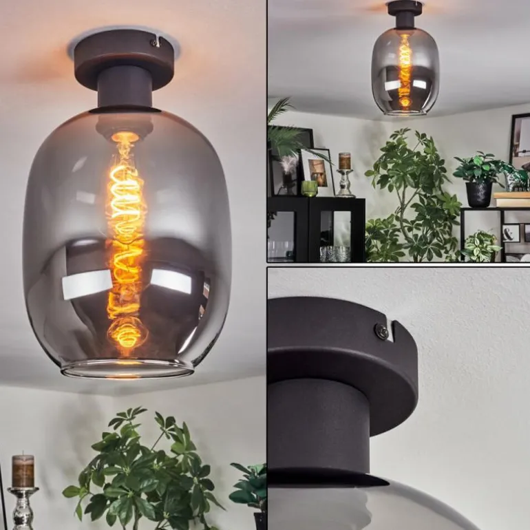 Apedo Plafonnier Fumé, 1 lumière