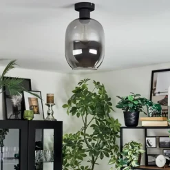 Apedo Plafonnier Fumé, 1 lumière