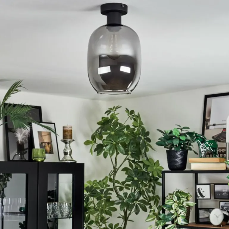 Apedo Plafonnier Fumé, 1 lumière