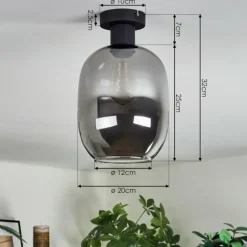 Apedo Plafonnier Fumé, 1 lumière