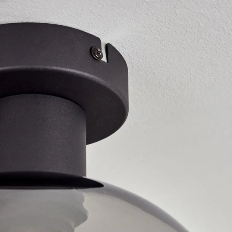 Apedo Plafonnier Fumé, 1 lumière