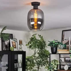 Apedo Plafonnier Fumé, 1 lumière