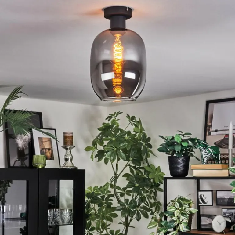 Apedo Plafonnier Fumé, 1 lumière