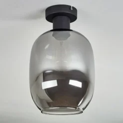 Apedo Plafonnier Fumé, 1 lumière