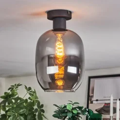 Apedo Plafonnier Fumé, 1 lumière