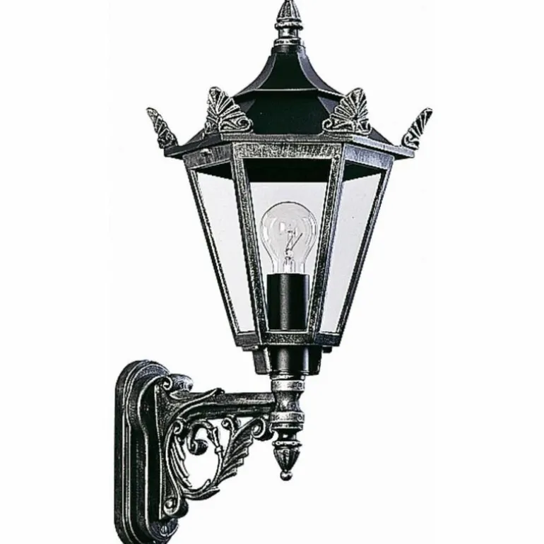 Applique extérieure Albert 1806 Noir, Argenté, 1 lumière