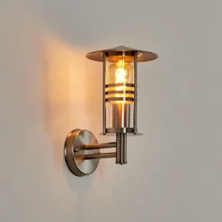 Applique extérieure Forli Acier inoxydable, Transparent, 1 lumière