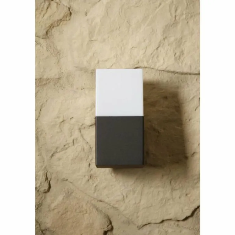 applique extérieure Trio HUDSON Noir, 1 lumière