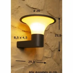 applique extérieure Trio KONGO Noir, 1 lumière