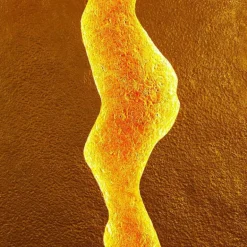 Applique Holländer ERUPTION LED Or, Rouge, 1 lumière