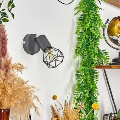 Applique murale Baripada Anthracite, Chrome, 1 lumière