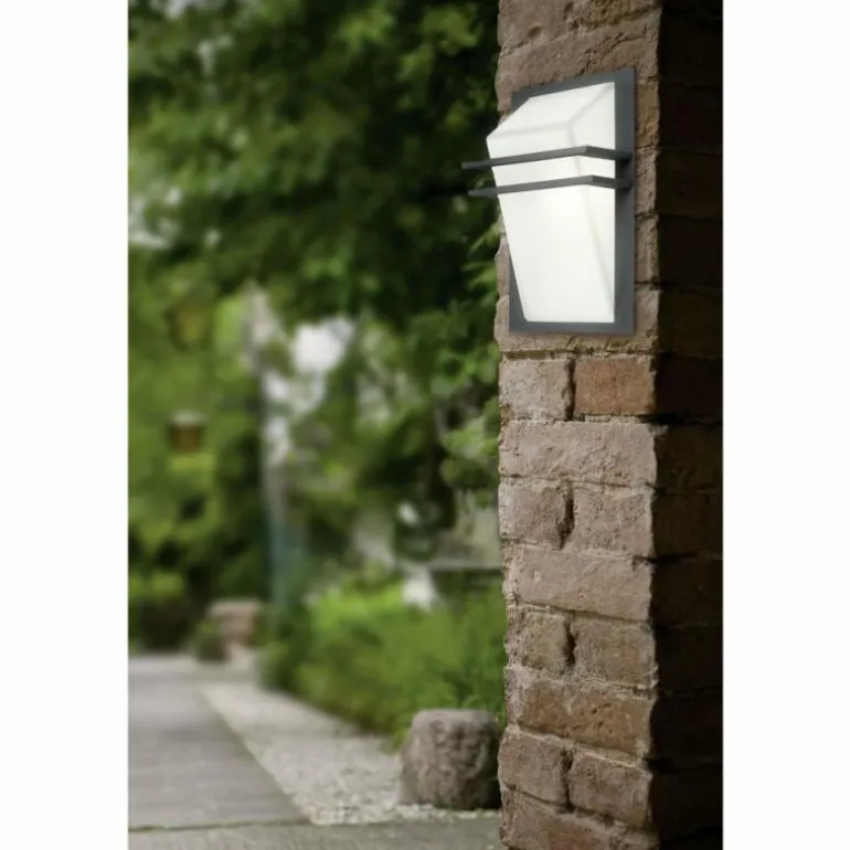 Applique murale d'extérieur Eglo PARK Anthracite, 1 lumière