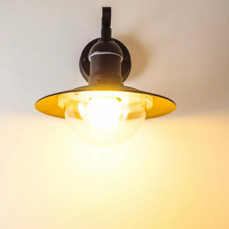 Applique murale d'extérieur Broni Noir, 1 lumière