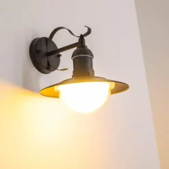 Applique murale d'extérieur Broni Noir, 1 lumière