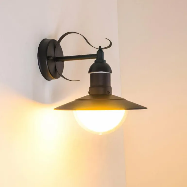 Applique murale d'extérieur Broni Noir, 1 lumière