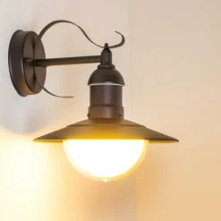 Applique murale d'extérieur Broni Noir, 1 lumière