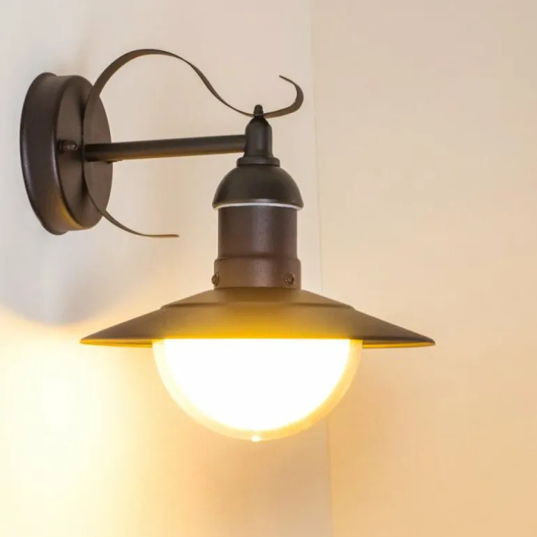 Applique murale d'extérieur Broni Noir, 1 lumière