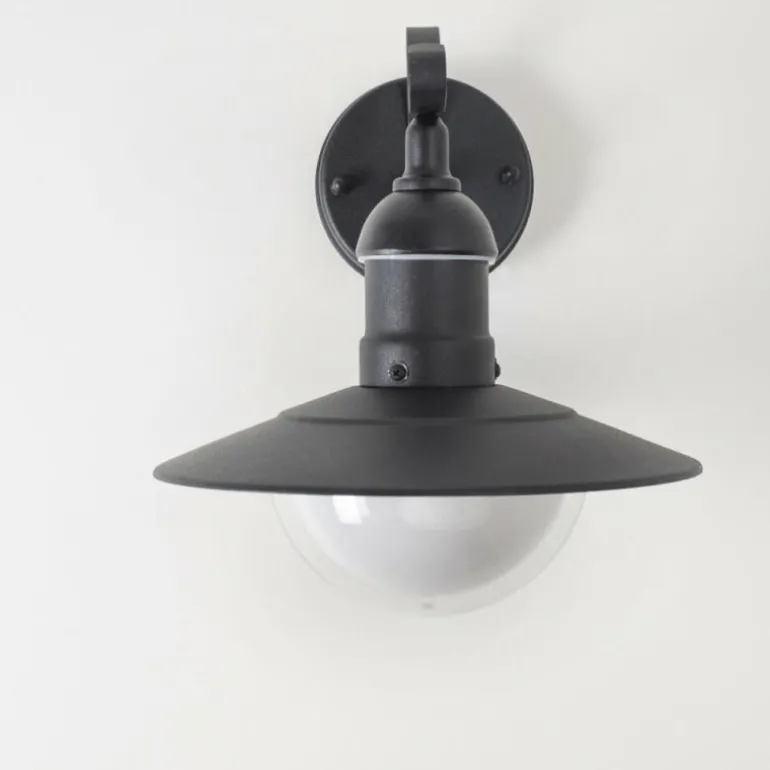 Applique murale d'extérieur Broni Noir, 1 lumière