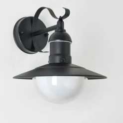 Applique murale d'extérieur Broni Noir, 1 lumière